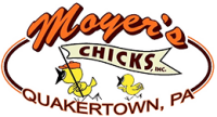 Moyer's chicks