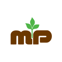 M&p insurance services