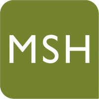 Msh consulting