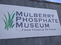 Mulberry phosphate museum