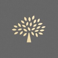 Mulberry tree marketing