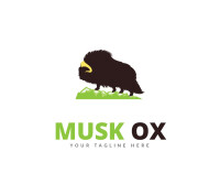 Musk ox development corporation