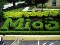 Big c lawn & landscaping