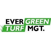 Evergreen turf management