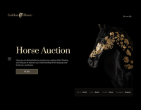 Nag horse ranch
