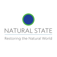 Natural state streams