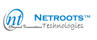 Netroots for the troops, inc.