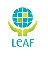 New leafe research