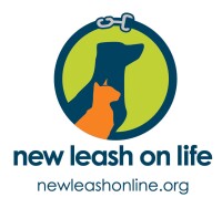 A new leash on life pet rescue and transport