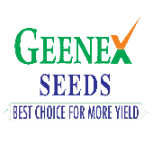 Nodai seeds india private limited