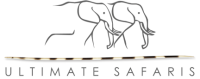 Ultimate Safaris