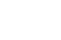 Npa security consulting