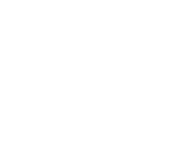 New bohemia brewing co. (nubo)