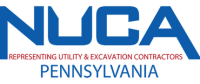 Nuca pennsylvania