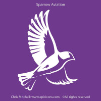 Sparrow avionics