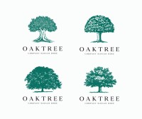 Oak tree photography