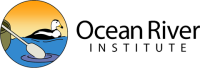Ocean river institute