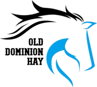 Old dominion mustang