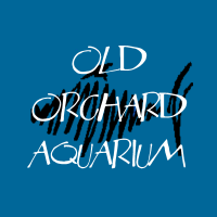 Old orchard aquarium