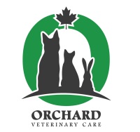 Orchard animal clinic