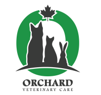 Orchards veterinary clinic