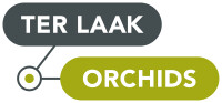 Ter laak orchids