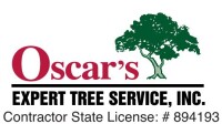 Oscar's expert tree service
