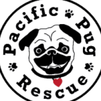 Pacific pug rescue