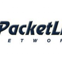 Packetlight networks