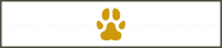 Pawsitively pets animal hospital