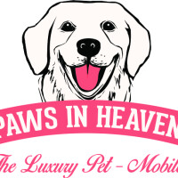 Paws in heaven