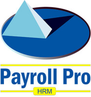 Payroll pro solutions