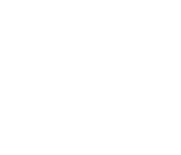 Patrick & buzarellos llp