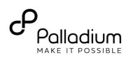 Palladium consulting group