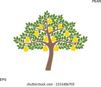 Pear tree avian sanctuary