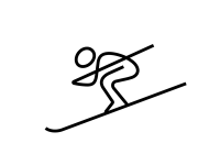 Performance ski