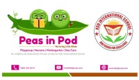 Peas in a pod nursery school