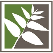 Pecan street insurance