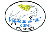 Pegasus carpet care