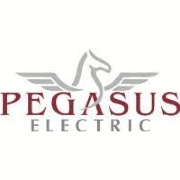 Pegasus electric