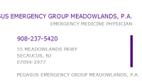 Pegasus emergency group pa