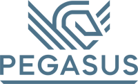 Pegasus holding corp.
