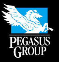 Pegasus group - owner's representative