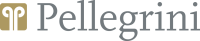 The pellegrini group