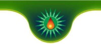 Petrostar petroleum corporation