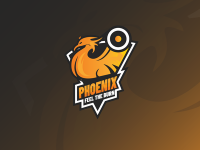 Phoenix gymnasium