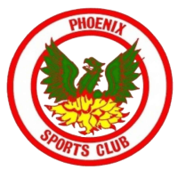 Phoenix sports, inc.