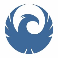 The phoenix seo company