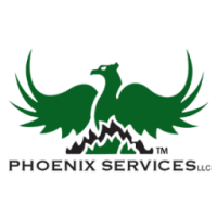 Phoenix service, llc