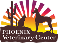 Phoenix veterinary hospital